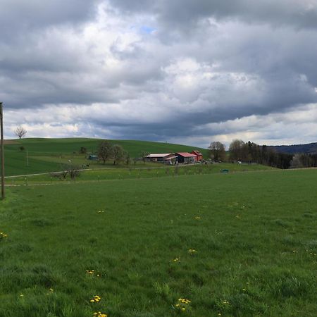 Ferienwohnung Hippenhof Hohenfels  Luaran gambar