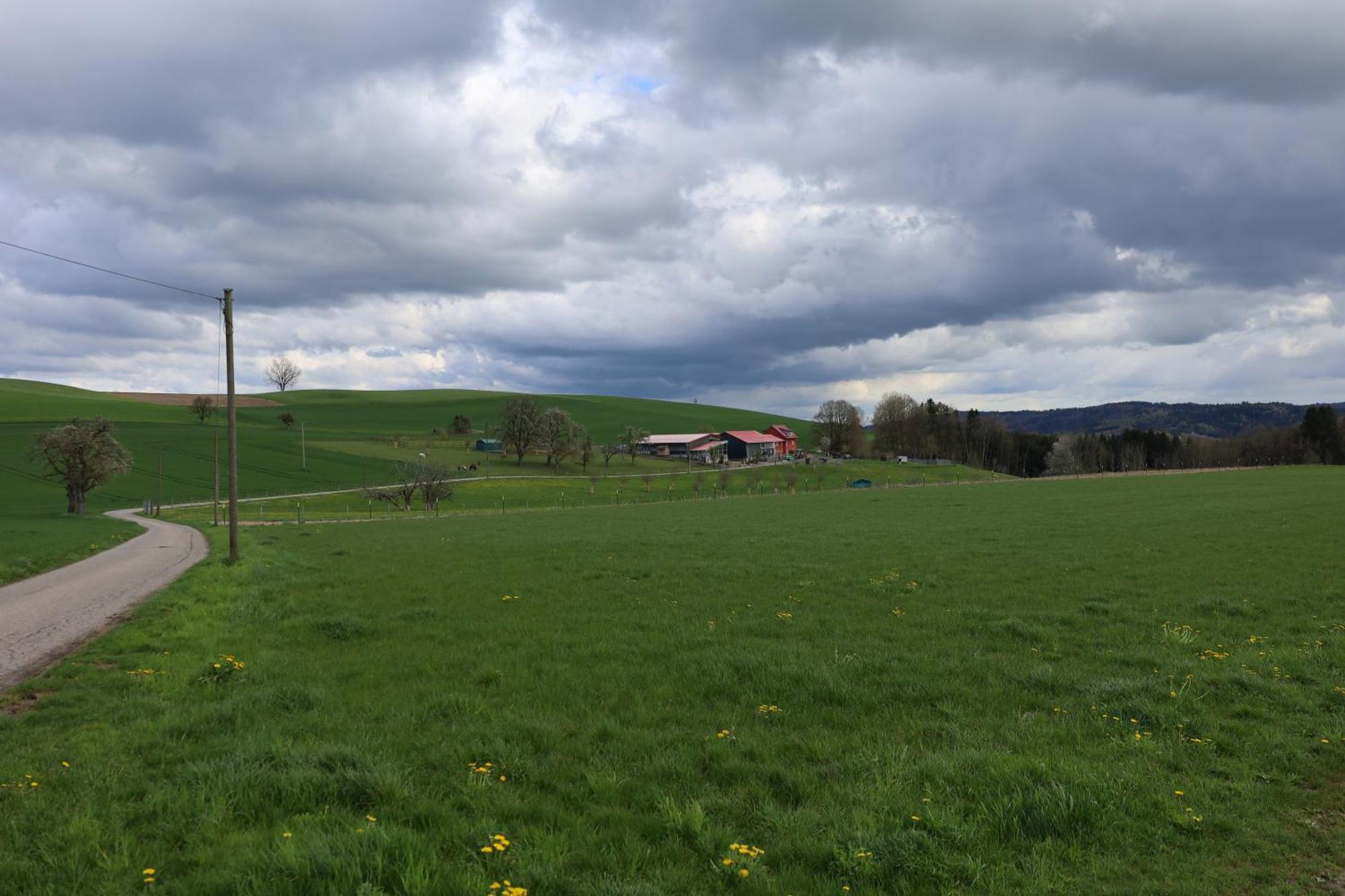 Ferienwohnung Hippenhof Hohenfels  Luaran gambar