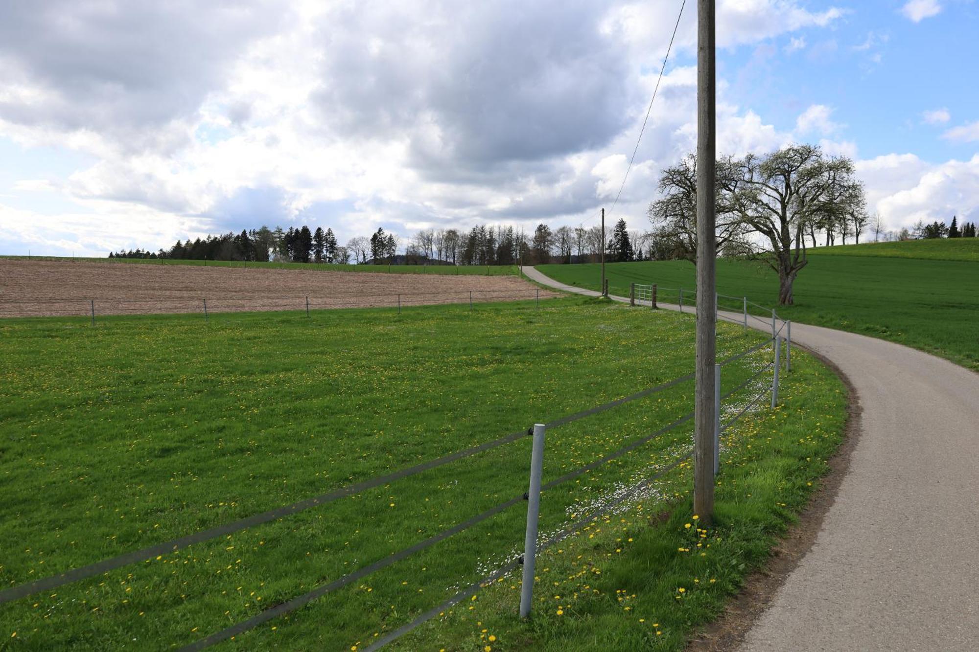 Ferienwohnung Hippenhof Hohenfels  Luaran gambar