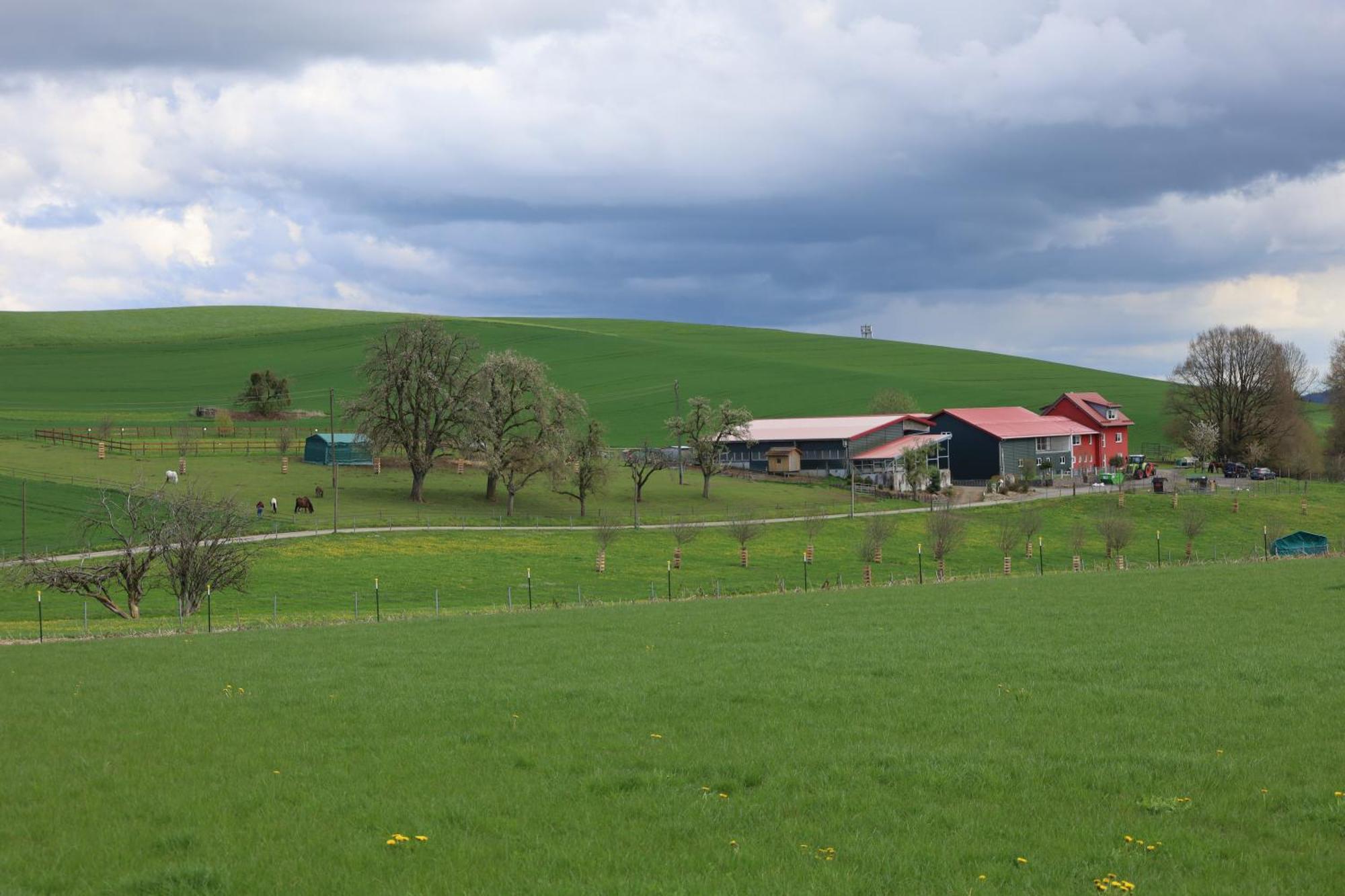 Ferienwohnung Hippenhof Hohenfels  Luaran gambar