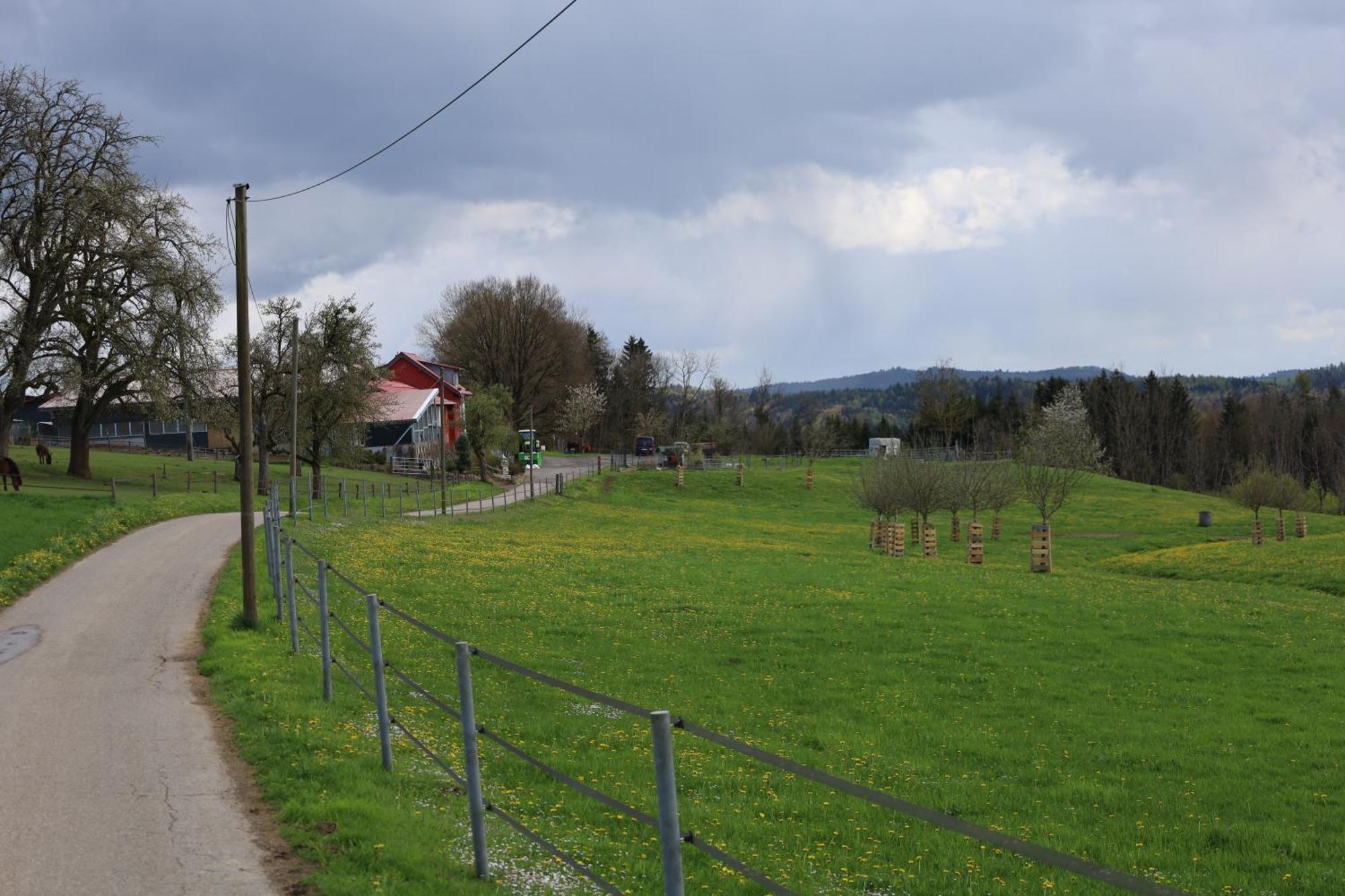Ferienwohnung Hippenhof Hohenfels  Luaran gambar